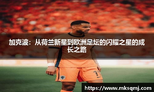 意昂体育官网